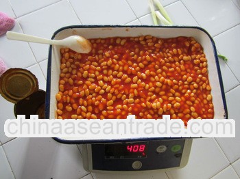 Canned White Kidney Beans in Tomato Sauce