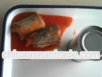 Canned mackerel in tin