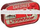 Canned sardine in tomato sauce