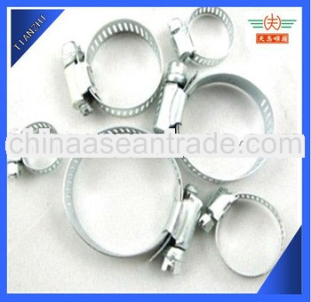 Carbon Steel hose clamp