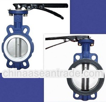 Cast Iron PTFE lined Butterfly Valve