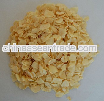 Certificated 80-120 mesh AGG GARLIC POWDER