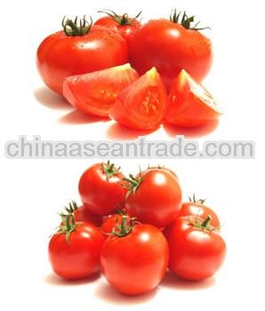 Chalkis/COFCO Good Quality Tomato Pasta