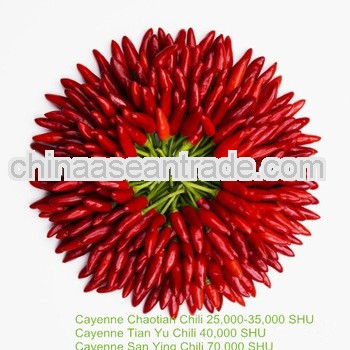 Chaotian Super Chili Pepper