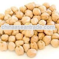 Chick peas 10 mm For Macedonia