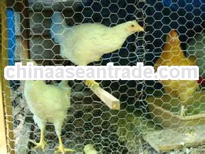 Chicken wire mesh alibaba express