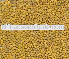 Chickpeas 14 mm For Iraq