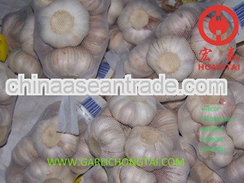 Chinese Fresh Common White Garlic 5.0CM
