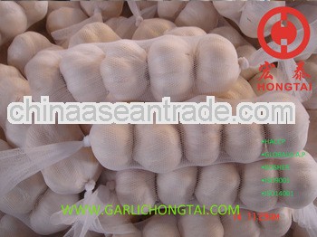 Chinese Fresh Garlic 5.0 CM price