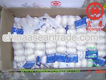 Chinese Pure White Garlic 4P/Bag Price