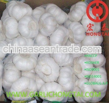 Chinese Super Garlic Price 2012