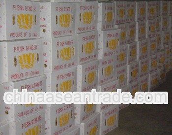 Chinese garlic carton, loose mesh bag packing