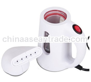 Colorfull Steam Iron Garment Steamer