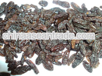 Dark Brown Feed Grade for Chile