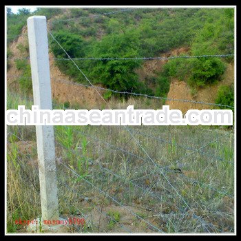 Double stands barbed wire/Hot dipped Galvanized barbed wire