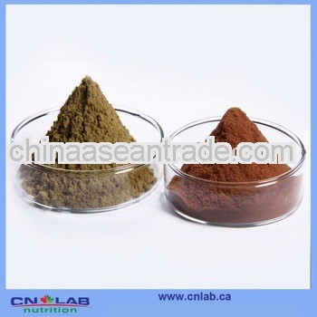 Elderberry Fruit Extract fine powder with all specifications