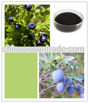 Factory Price Blueberry Extract/ Anthocyanidins