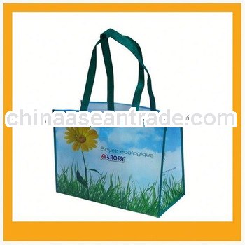 Fashion non woven bags design