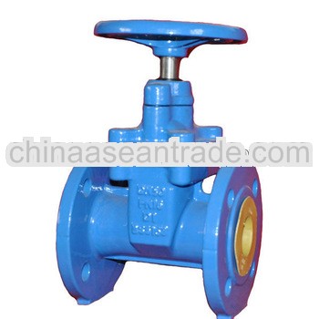 Foundry heavy gate valve