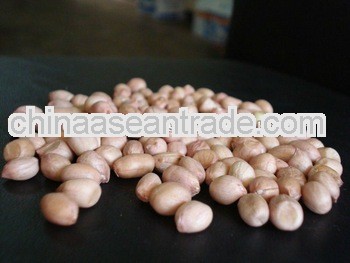 Fresh Stock Of Peanuts Italy