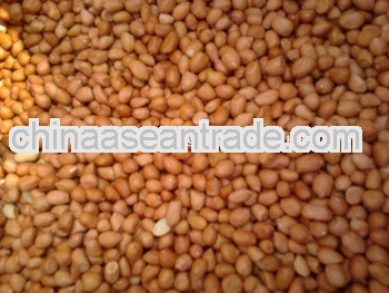 Fresh Stock Of Peanuts Macau