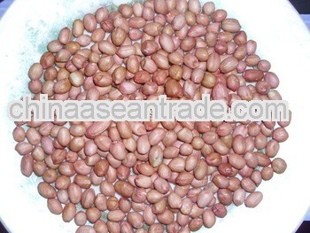 Fresh Stock Of Peanuts Spain