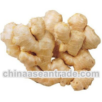 Fresh dry ginger