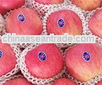 Fuji Apple Fresh Apple