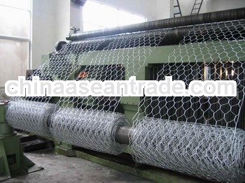 GALVANIZED HEXAGONAL CHICKEN WIRE MESH