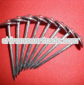 Galvanized flat head roofing nails