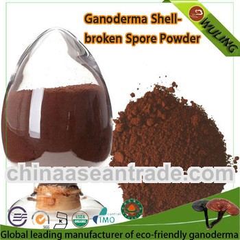 Ganoderma Lucidum Shell-broken Spore Powder