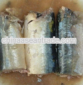 Good quality canned sardine in 100% vegetable oil