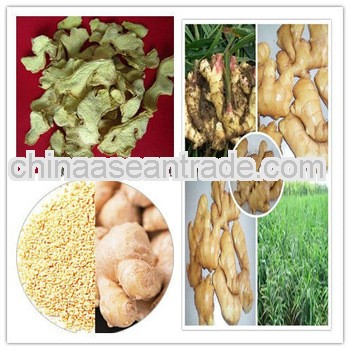 HACCP/ KOSHER/ HALAL/ FDA Aromatics-ginger powder, flakes