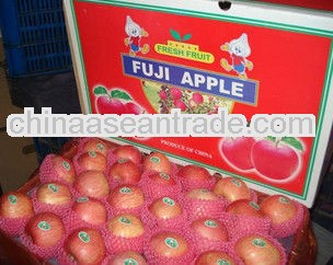 HOT selling fuji apple!!!!!!