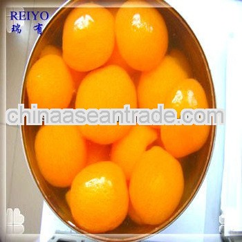 Health ISO Halves 425g canned cheap Sweet syrup apricot 2013 exporter