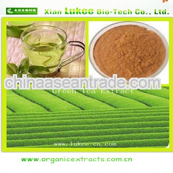 Healthcare product green tea extract powder for anti aging