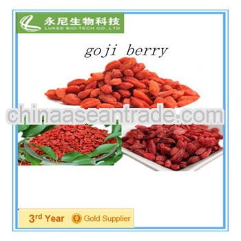 Herb extract High quality Goji Wolfberry Extract