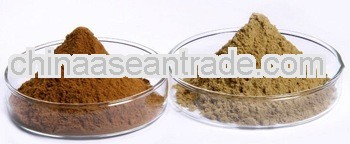 Herba Scutellariae Barbatae Extract Powder