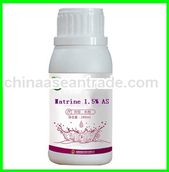 Herbal extract pesticide Matrine