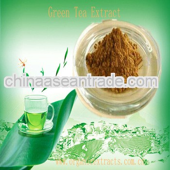 Herbs to cosmetic Polyphenols Green Tea Extract