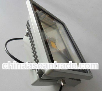 High Lumens 12V /220V led floodlight 50w