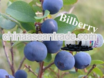 High Quality Bilberry Extract Softgel