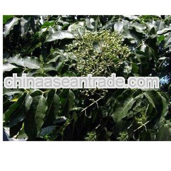 High Quality Fructus Evodiae Extract