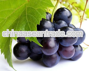 High Quality GRAPE SKIN EXTRACT OPC30%
