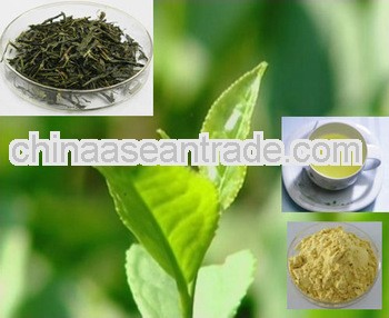 High Quality Instant Green Tea Extact