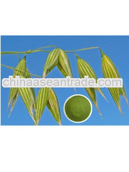 High Quality Oat Grass Juice Powder