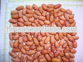 High Quality Peanuts for United Kingdom