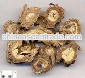 High Quality Radix Rehmanniae Extract