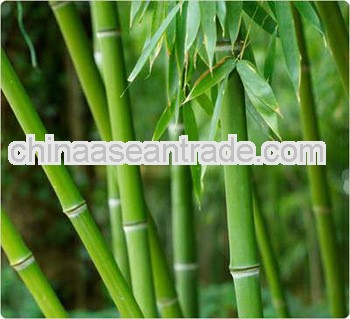 High purity Bamboo Leaf extract powder