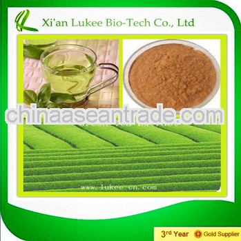 High quality Green tea extract with 40%-98% Tea polyphenol